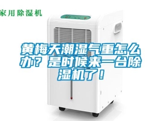 常見問題黃梅天潮濕氣重怎么辦？是時候來一臺除濕機了！