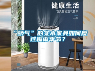 常見問題“嬌氣”的實木家具如何度過梅雨季節？