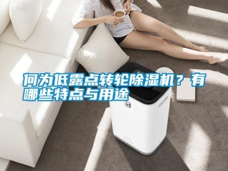 行業(yè)新聞何為低露點(diǎn)轉(zhuǎn)輪除濕機(jī)？有哪些特點(diǎn)與用途