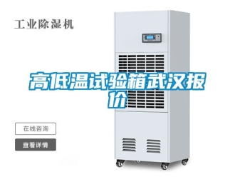常見(jiàn)問(wèn)題高低溫試驗(yàn)箱武漢報(bào)價(jià)