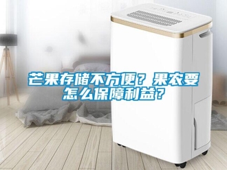 常見問題芒果存儲不方便？果農要怎么保障利益？