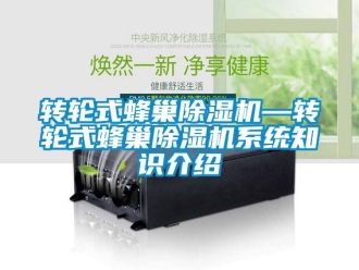 常見問題轉(zhuǎn)輪式蜂巢除濕機(jī)—轉(zhuǎn)輪式蜂巢除濕機(jī)系統(tǒng)知識介紹