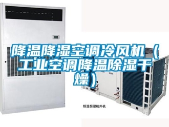 常見問題降溫降濕空調(diào)冷風(fēng)機（工業(yè)空調(diào)降溫除濕干燥）