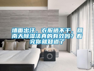 常見問題墻面出汗，衣服曬不干，回南天除濕法真的有效嗎？看完你就知道了