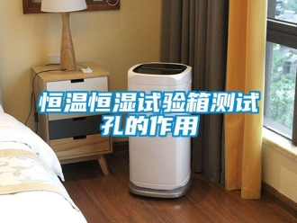 知識百科恒溫恒濕試驗箱測試孔的作用