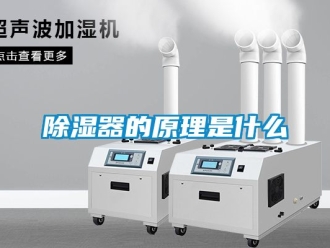 行業新聞除濕器的原理是什么