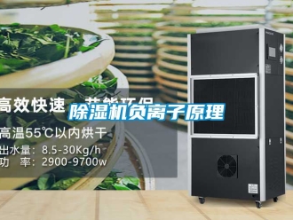 行業(yè)新聞除濕機(jī)負(fù)離子原理