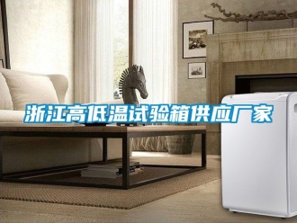 常見問題浙江高低溫試驗箱供應廠家