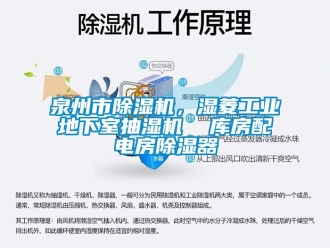 常見問題泉州市除濕機(jī)，濕菱工業(yè)地下室抽濕機(jī)  庫(kù)房配電房除濕器