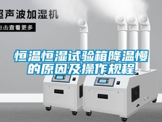 知識百科恒溫恒濕試驗箱降溫慢的原因及操作規程