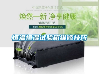 知識百科恒溫恒濕試驗(yàn)箱維修技巧