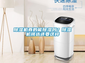 常見問題除濕機真的能除濕嗎？除濕機挑選還要這樣