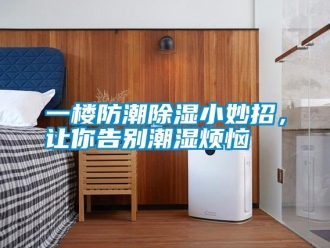 知識百科一樓防潮除濕小妙招，讓你告別潮濕煩惱