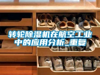 常見(jiàn)問(wèn)題轉(zhuǎn)輪除濕機(jī)在航空工業(yè)中的應(yīng)用分析_重復(fù)