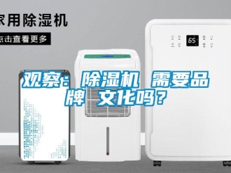 常見問題觀察：除濕機 需要品牌 文化嗎？