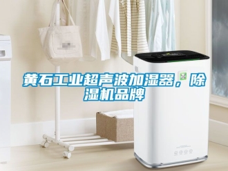 常見(jiàn)問(wèn)題黃石工業(yè)超聲波加濕器，除濕機(jī)品牌