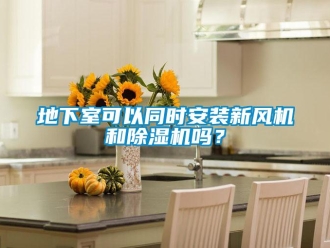 常見問題地下室可以同時安裝新風機和除濕機嗎？