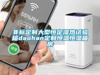 知識(shí)百科非標(biāo)定制大型恒定濕熱試驗(yàn)箱daohan定制恒溫恒濕箱房