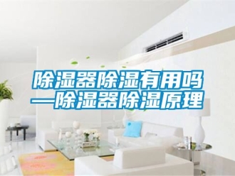 行業新聞除濕器除濕有用嗎—除濕器除濕原理