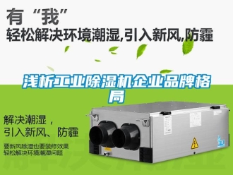 常見問題淺析工業(yè)除濕機(jī)企業(yè)品牌格局