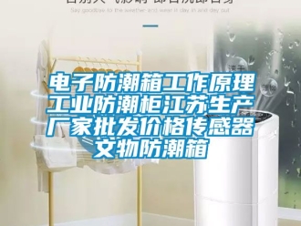 常見問題電子防潮箱工作原理工業防潮柜江蘇生產廠家批發價格傳感器文物防潮箱