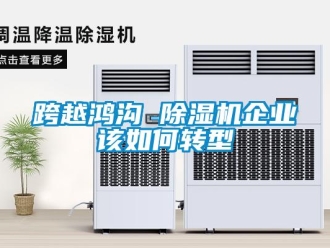常見問題跨越鴻溝 除濕機(jī)企業(yè)該如何轉(zhuǎn)型