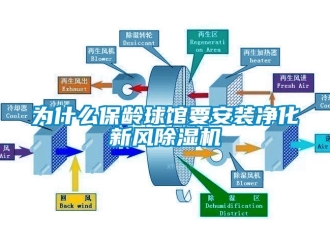 知識(shí)百科為什么保齡球館要安裝凈化新風(fēng)除濕機(jī)