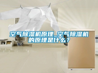 行業新聞空氣除濕機原理_空氣除濕機的原理是什么？