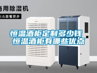 知識百科恒溫酒柜定制多少錢 恒溫酒柜有哪些優點
