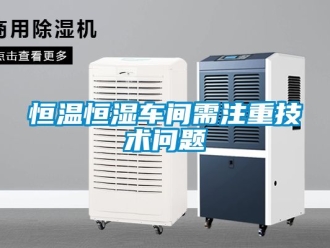 知識百科恒溫恒濕車間需注重技術(shù)問題