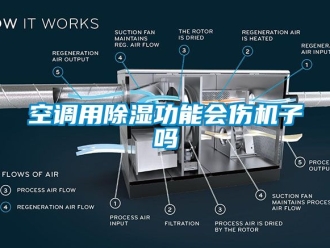 行業新聞空調用除濕功能會傷機子嗎