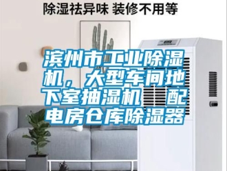 常見問題濱州市工業(yè)除濕機(jī)，大型車間地下室抽濕機(jī)  配電房倉庫除濕器