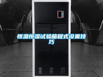 知識百科恒溫恒濕試驗箱程式設置技巧