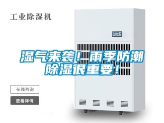 常見問題濕氣來襲！雨季防潮除濕很重要！