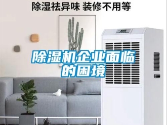 常見問題除濕機企業面臨的困境