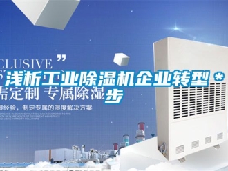 常見問題淺析工業除濕機企業轉型＊步