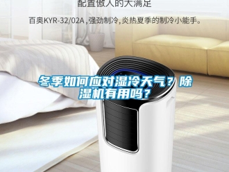 常見問題冬季如何應對濕冷天氣？除濕機有用嗎？