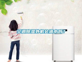 行業新聞空調除濕外機會滴水嗎？