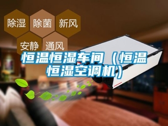 知識百科恒溫恒濕車間（恒溫恒濕空調(diào)機(jī)）
