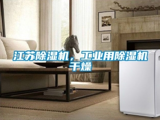 常見問題江蘇除濕機，工業用除濕機干燥