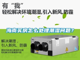 常見問題海南買房怎么處理潮濕問題？
