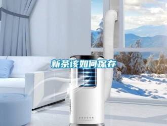 常見問題新茶該如何保存
