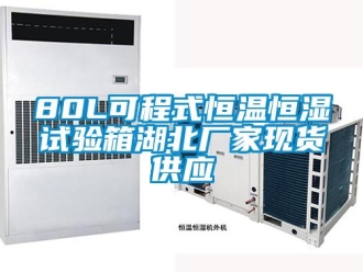 常見問題80L可程式恒溫恒濕試驗箱湖北廠家現貨供應