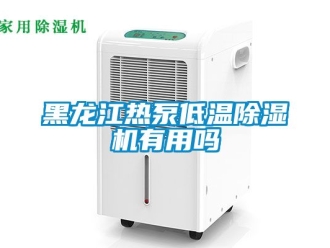 新聞資訊黑龍江熱泵低溫除濕機(jī)有用嗎