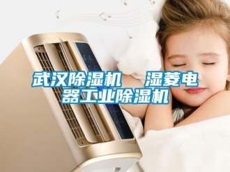 常見問題武漢除濕機  濕菱電器工業除濕機