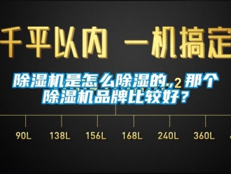 常見問題除濕機是怎么除濕的，那個除濕機品牌比較好？