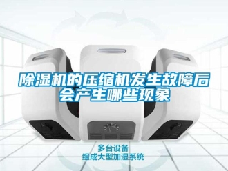 常見(jiàn)問(wèn)題除濕機(jī)的壓縮機(jī)發(fā)生故障后會(huì)產(chǎn)生哪些現(xiàn)象