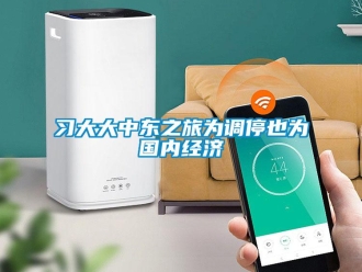 知識(shí)百科習(xí)大大中東之旅為調(diào)停也為國內(nèi)經(jīng)濟(jì)