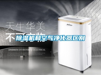 常見問題除濕機和空氣凈化器區別