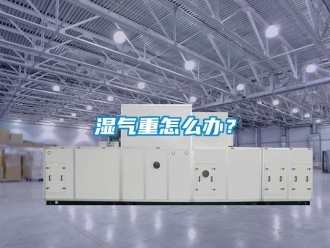 常見問題濕氣重怎么辦？